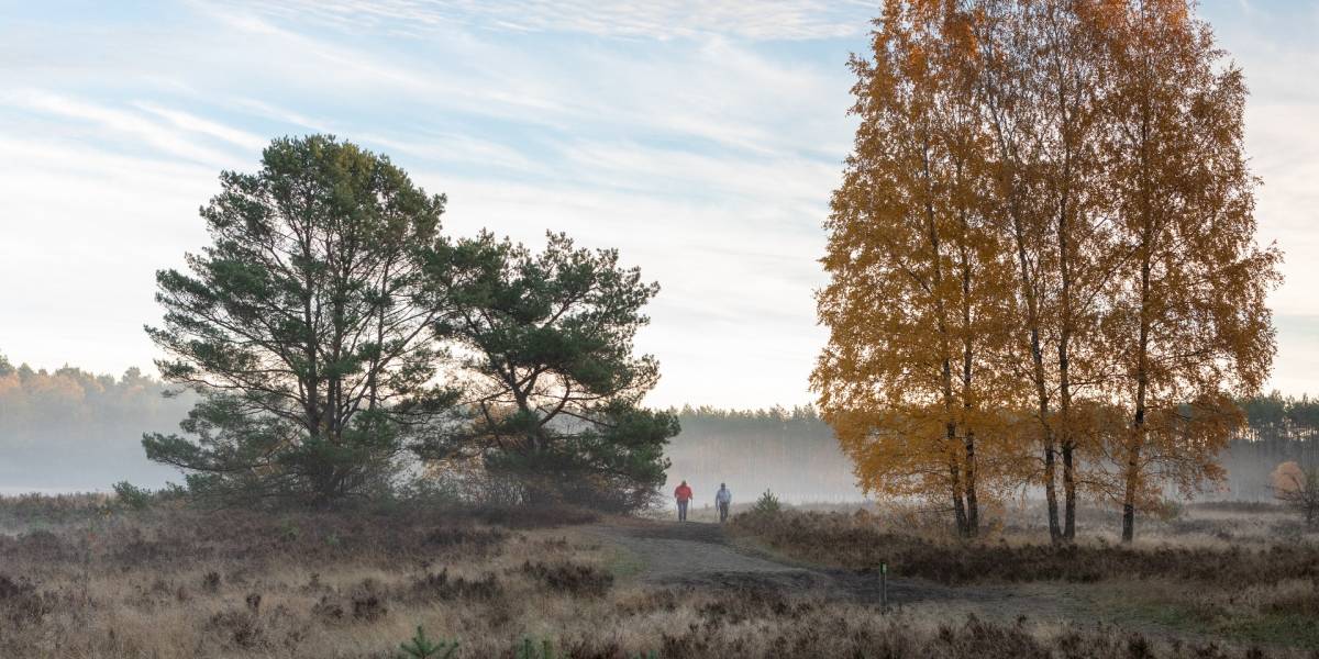 Wandern in der Senne